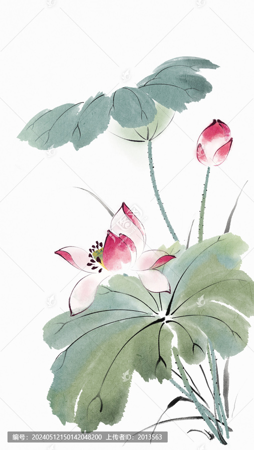 水墨荷花