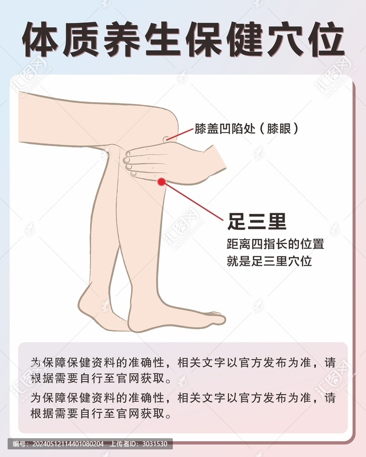 足三里手繪保健穴位