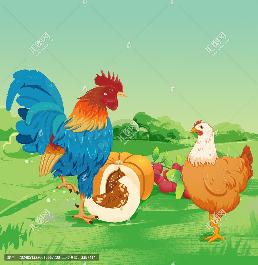 農(nóng)村公雞母雞手繪插畫