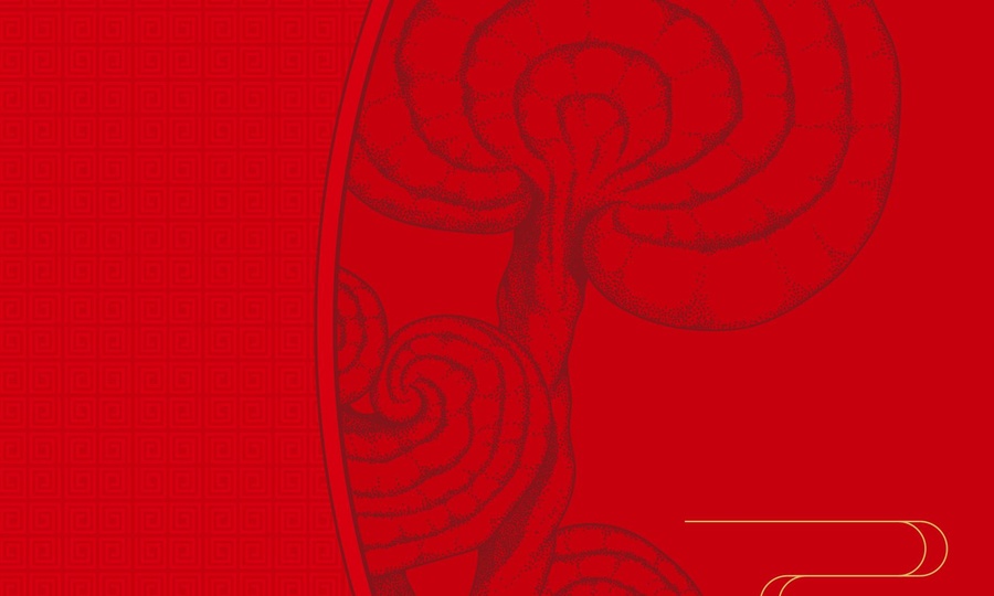 靈芝孢子粉包裝設(shè)計(jì)
