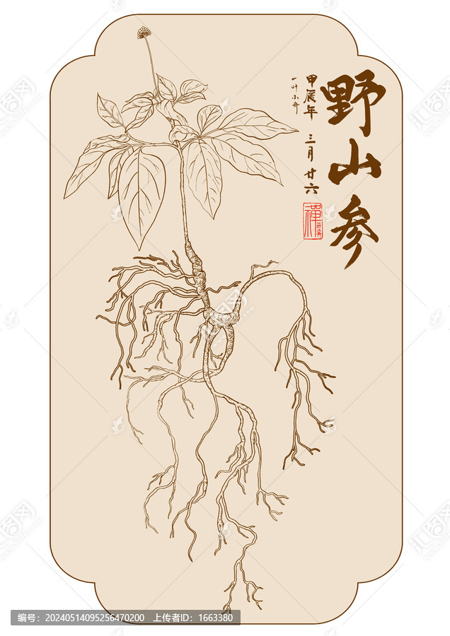 國潮手繪野山參