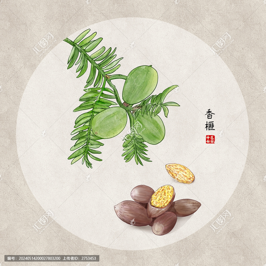 香榧