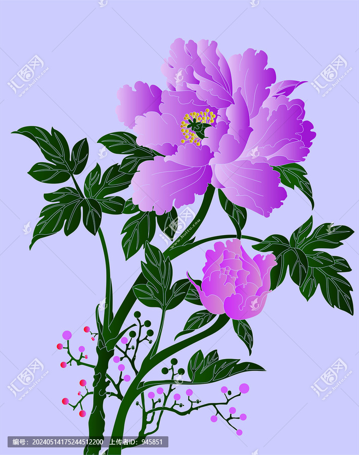 牡丹花