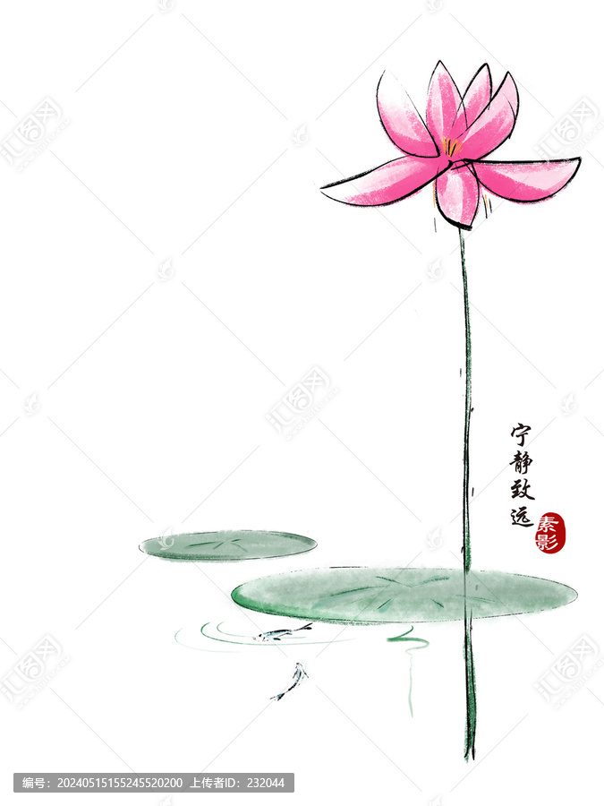 荷花寧靜