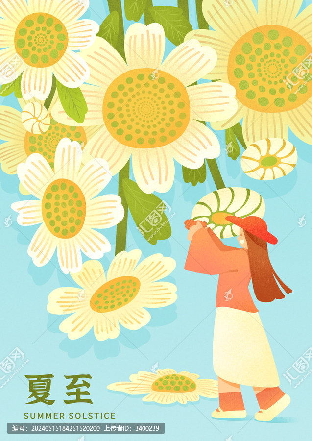 夏至的小雛菊