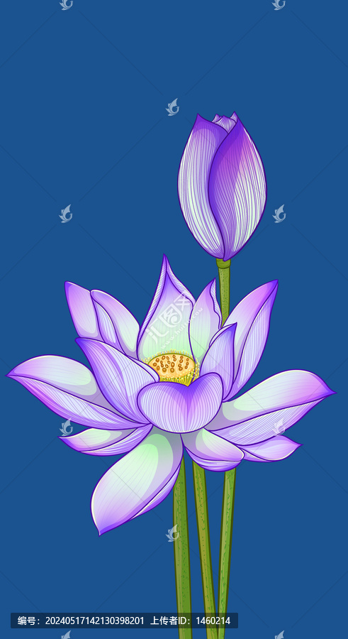 紫色荷花國(guó)潮手繪