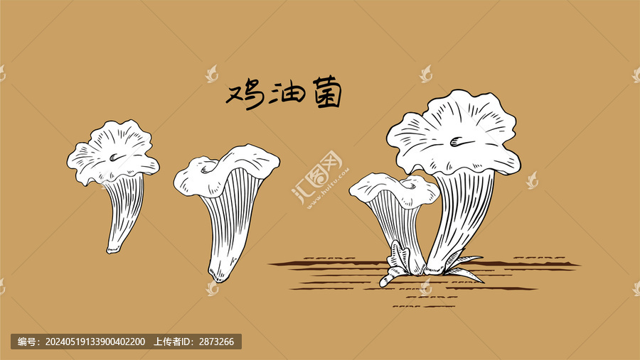 雞油菌