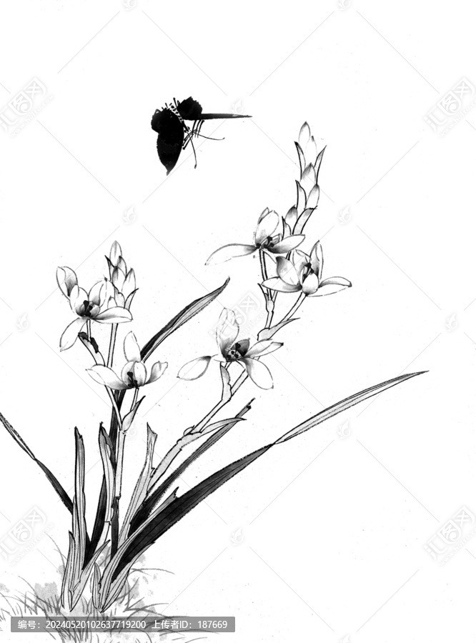 黑白線條圖