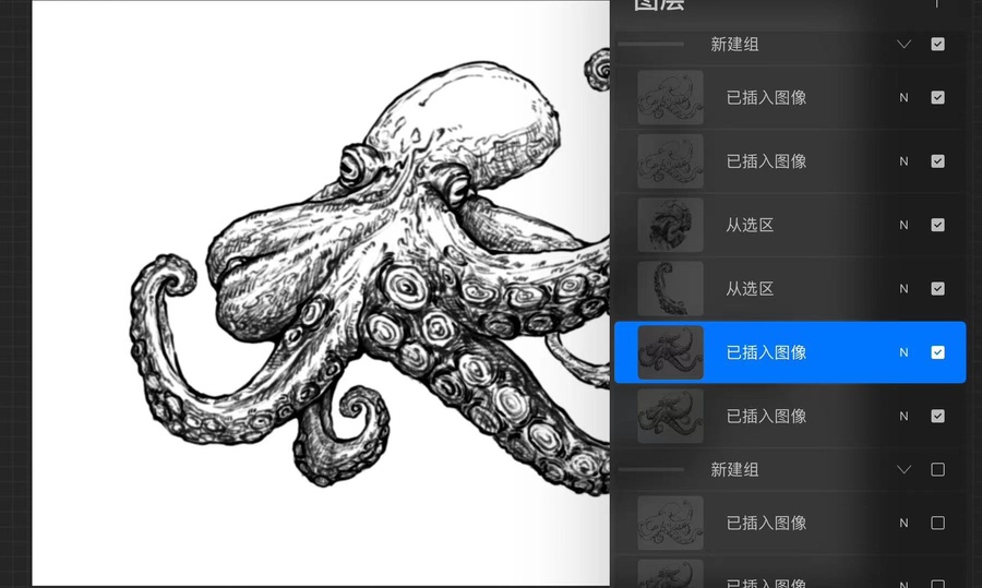 章魚(yú)