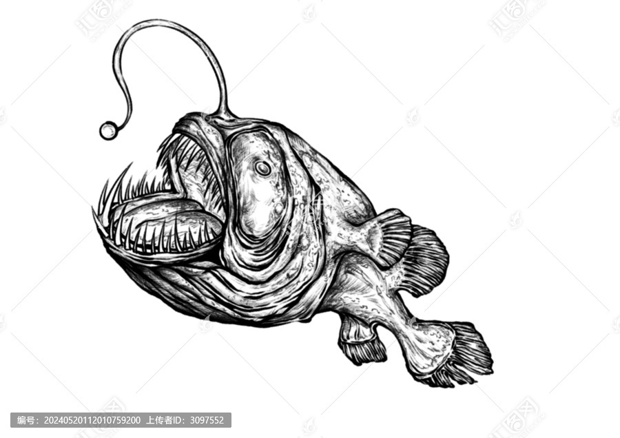 燈籠魚