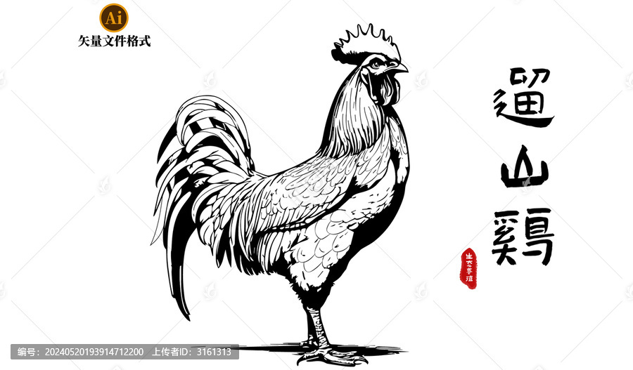 矢量插圖遛山雞