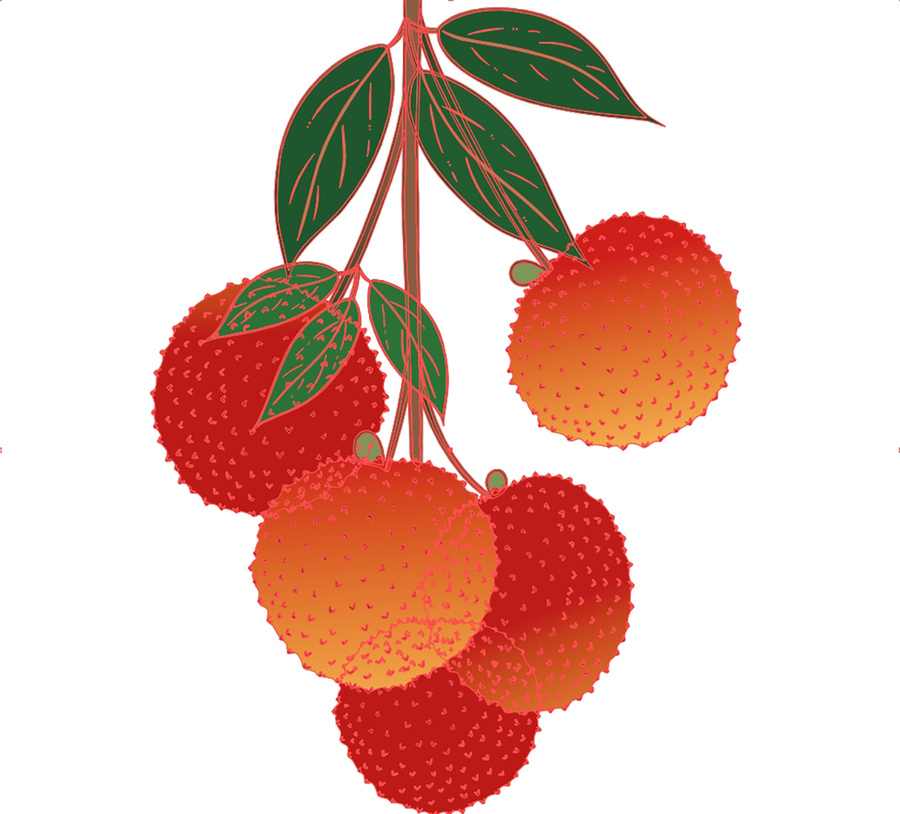 荔枝