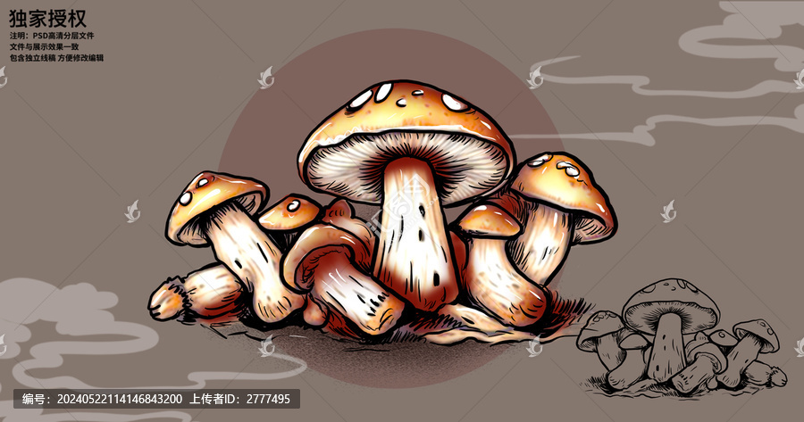 國(guó)風(fēng)松茸菌菇手繪插畫