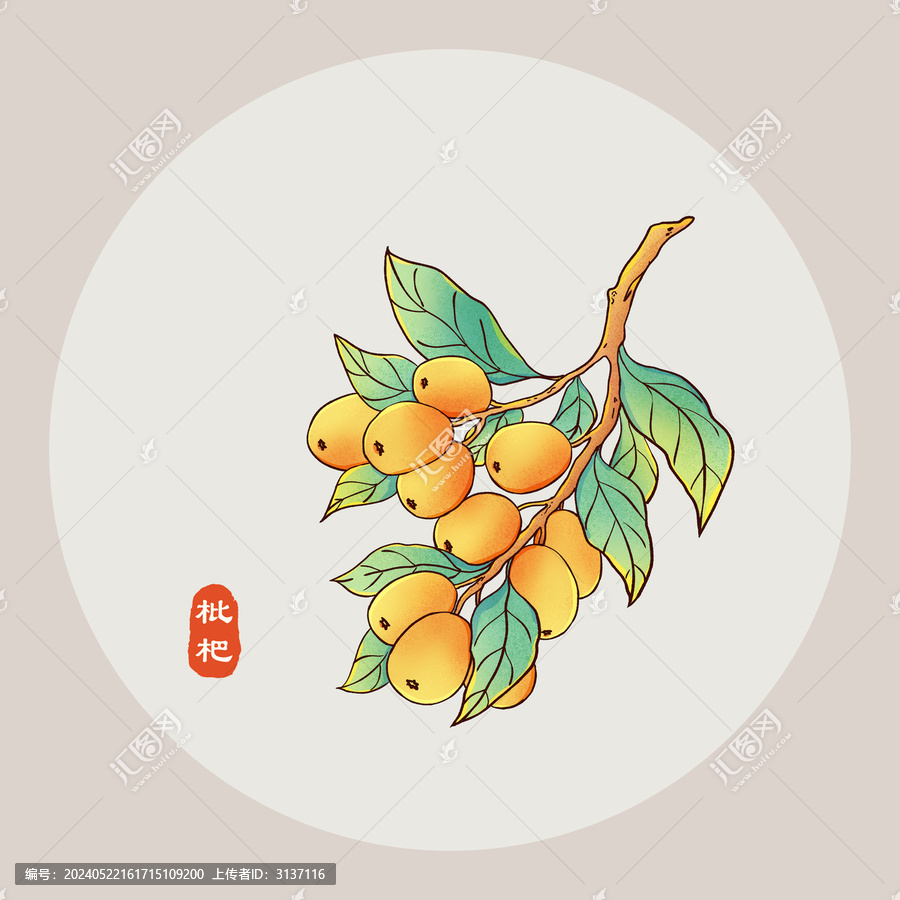 枇杷