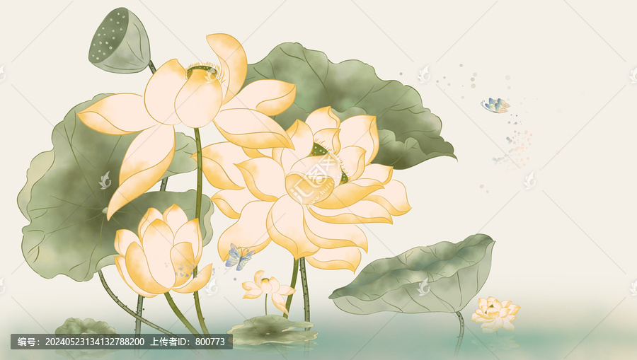 夏荷