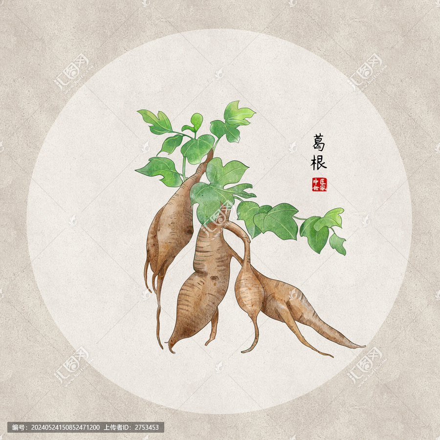 葛根
