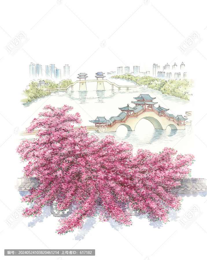 三角梅水彩