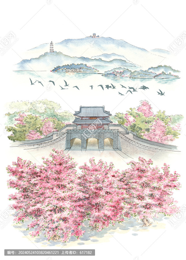 紫荊花朝京門
