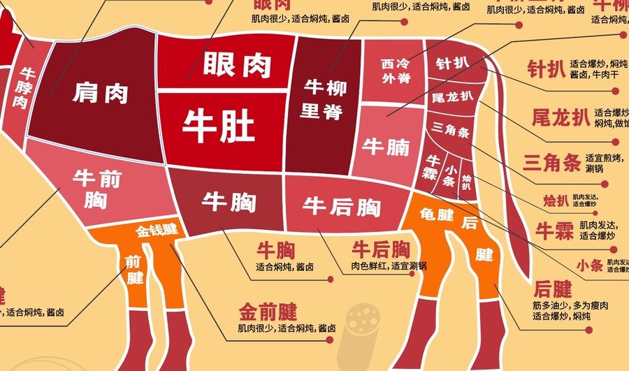 牛肉分割圖