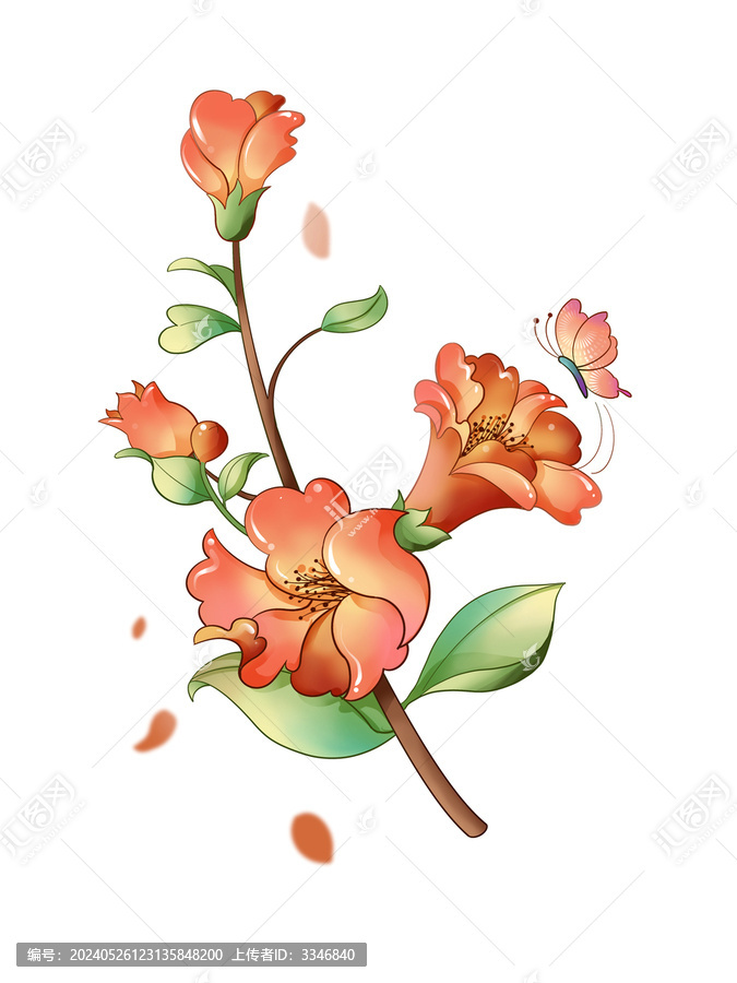 石榴花