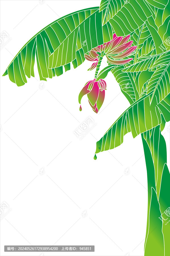 香蕉