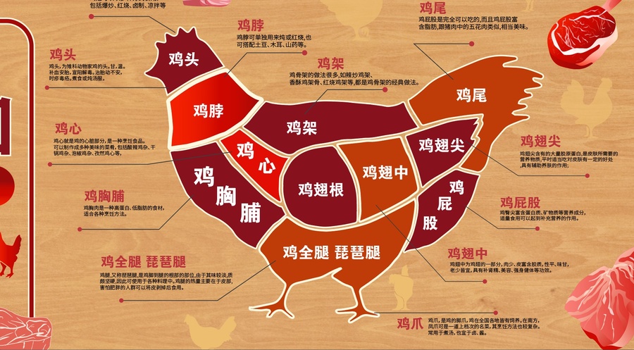 雞肉分割圖