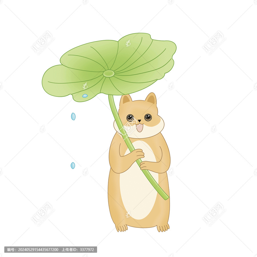 卡通手繪荷葉松鼠圖案