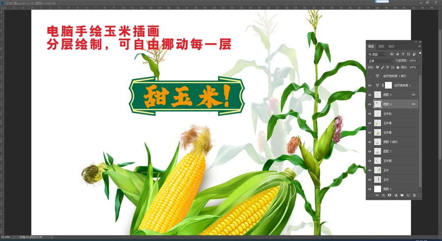 玉米插畫