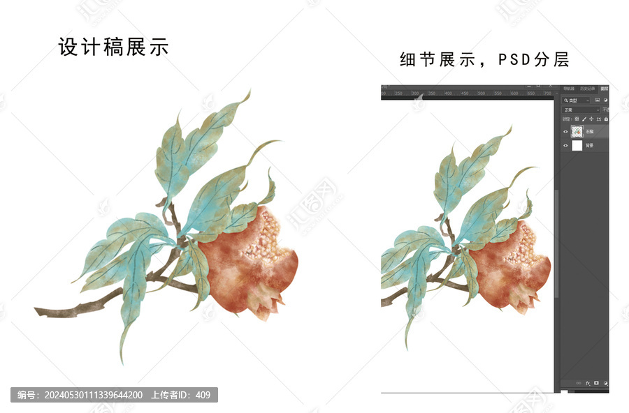 石榴插畫