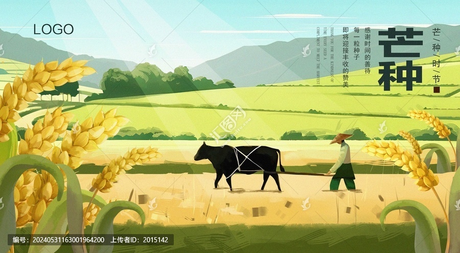 芒種節(jié)氣插畫海報
