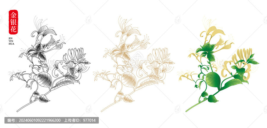 金銀花