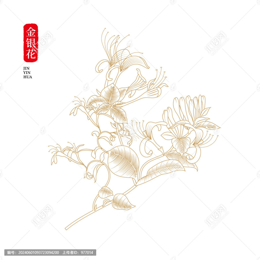 金銀花