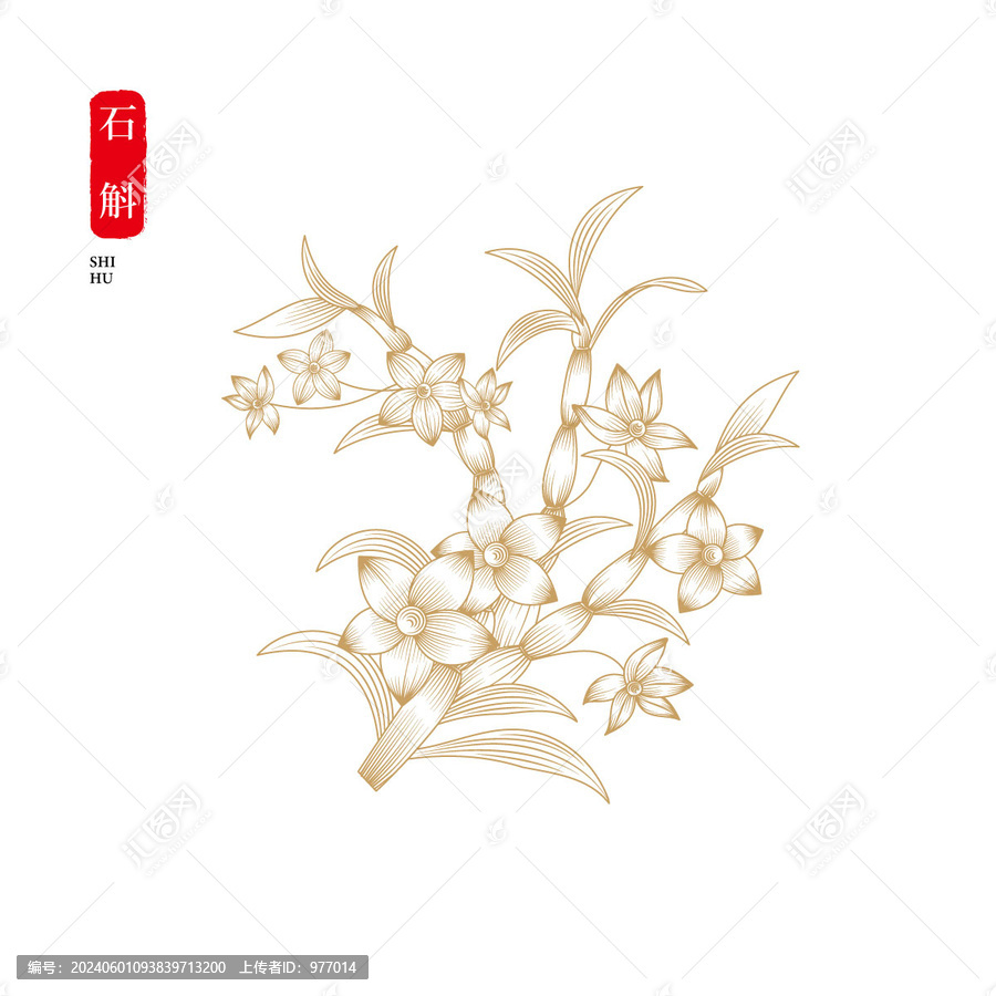 石斛