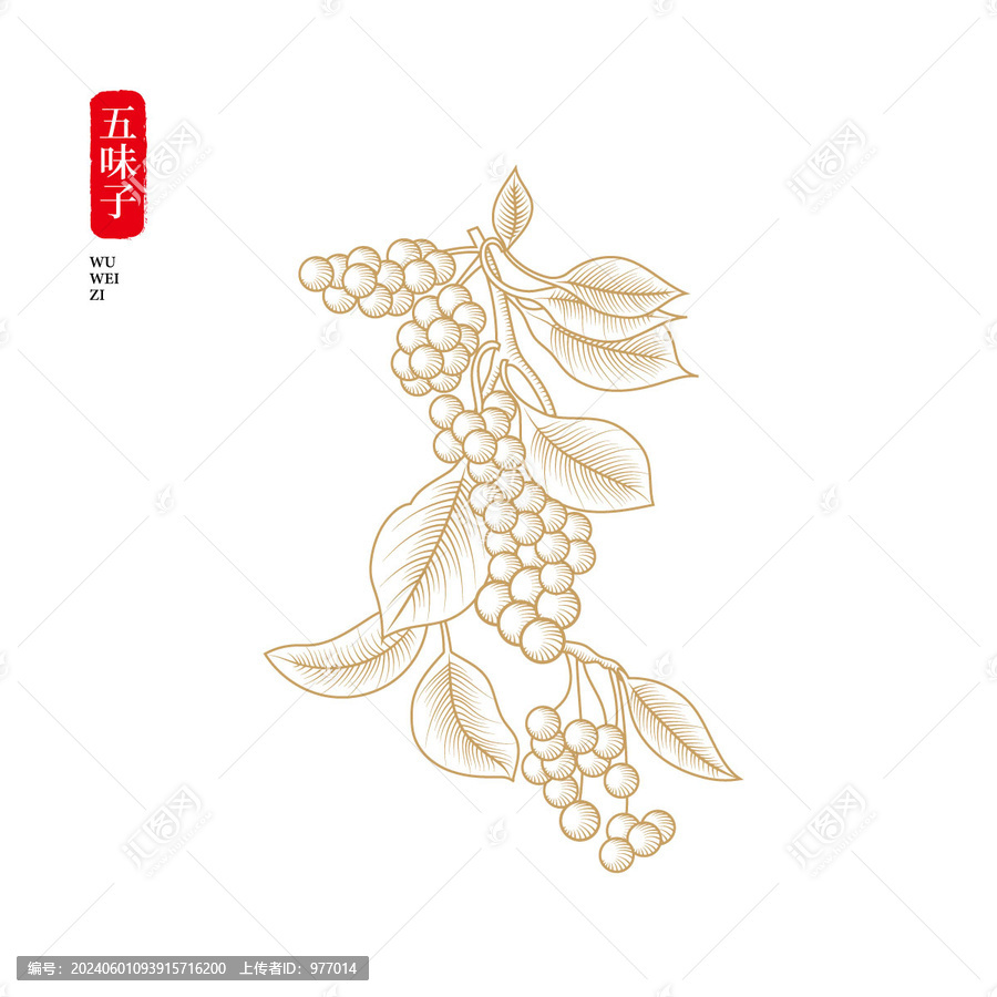 五味子