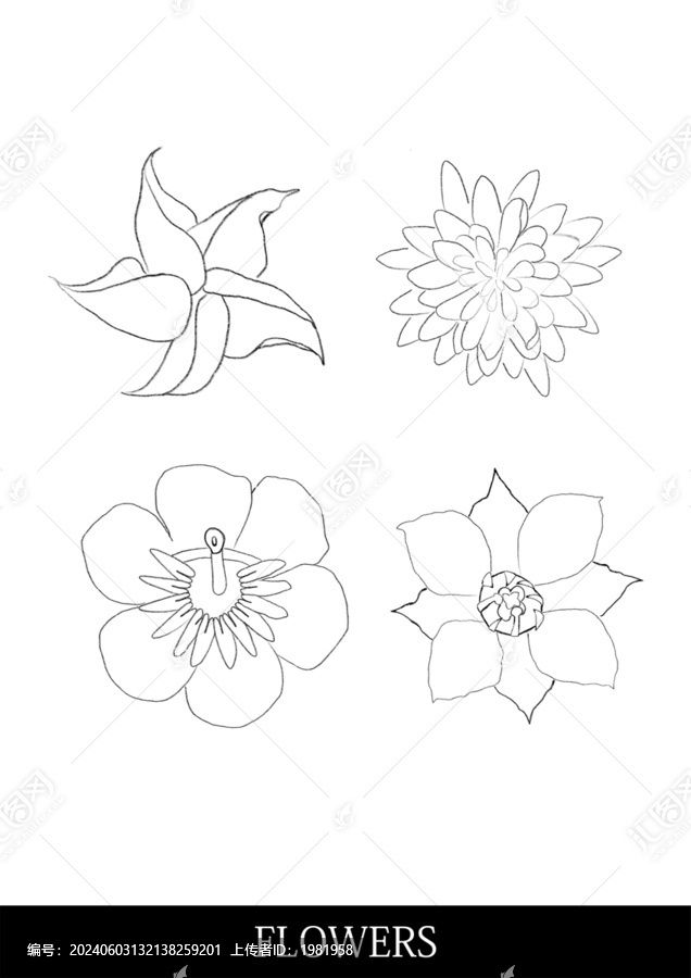 flowers線稿素材