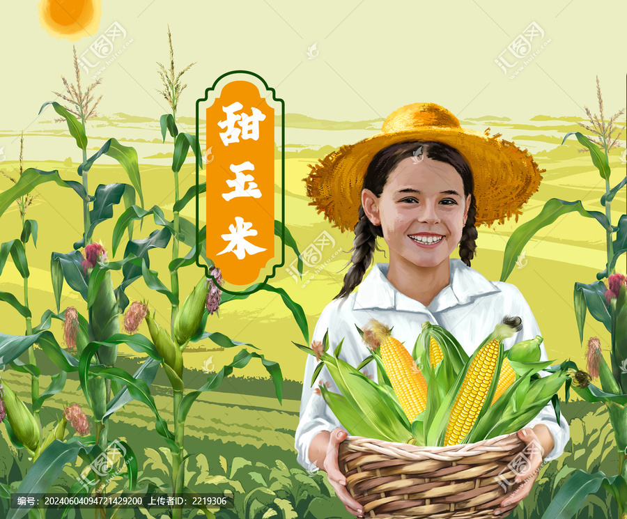 甜玉米插畫