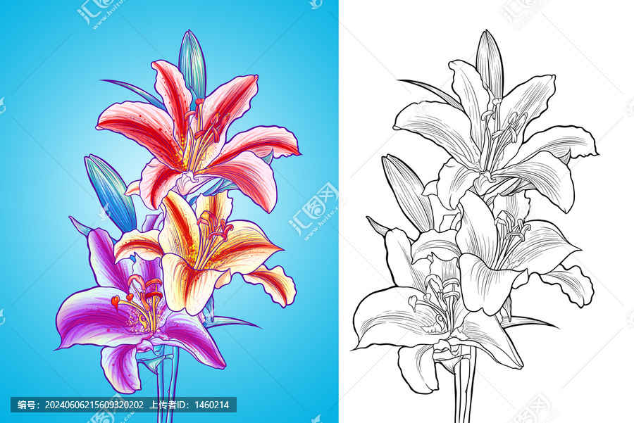 百合花