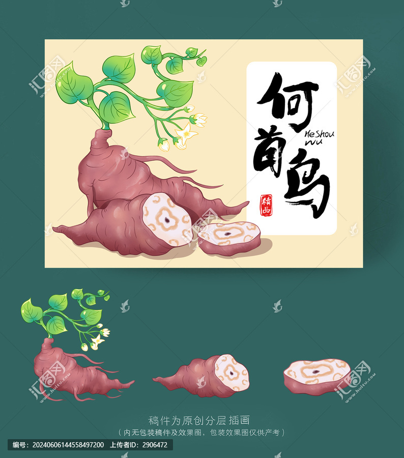何首烏插畫(huà)包裝