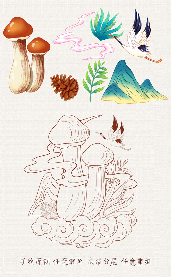 姬松茸插畫