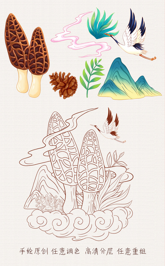 羊肚菌插畫