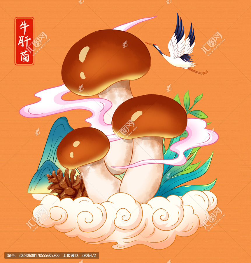 牛肝菌插畫