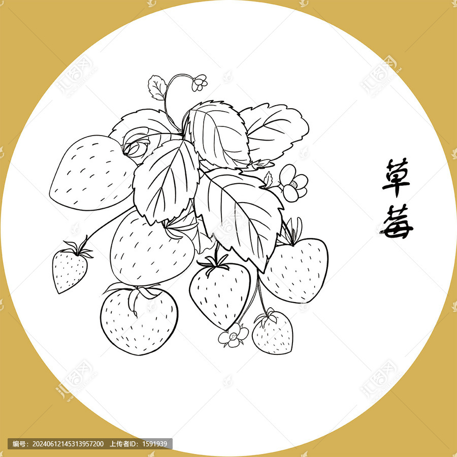 手繪草莓線稿