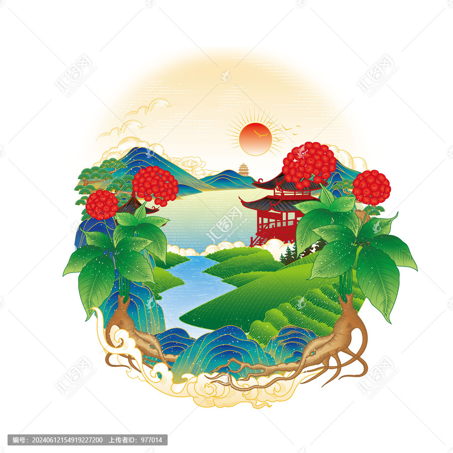 西洋參插畫