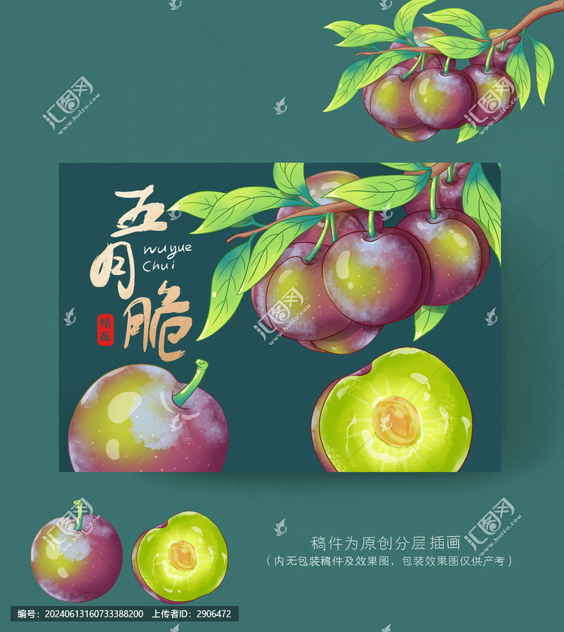 五月脆李包裝插畫