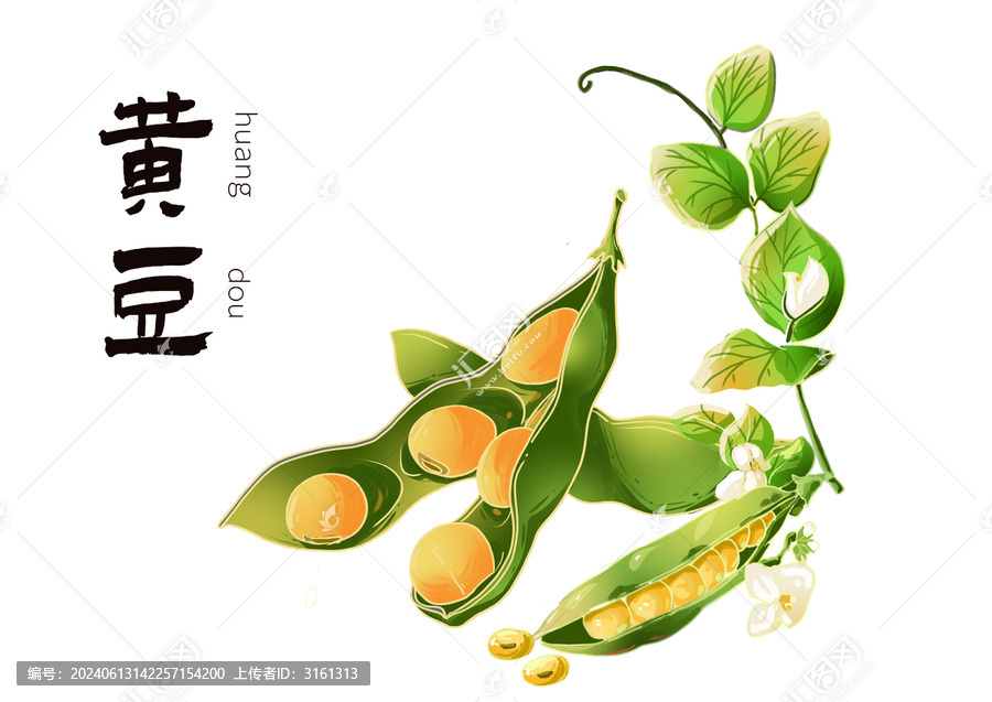 黃豆莢豆?jié){素材
