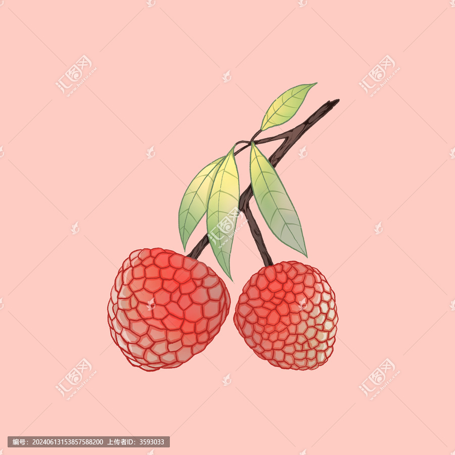 荔枝手繪