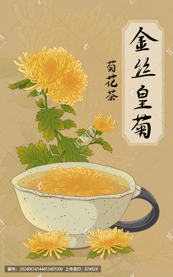 金絲皇菊包裝插畫