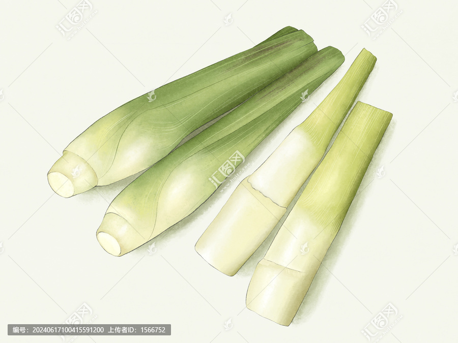 茭白