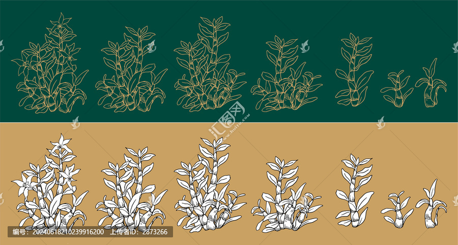 鐵皮石斛