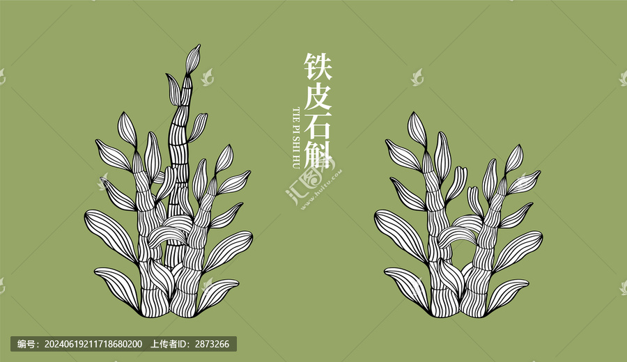 鐵皮石斛